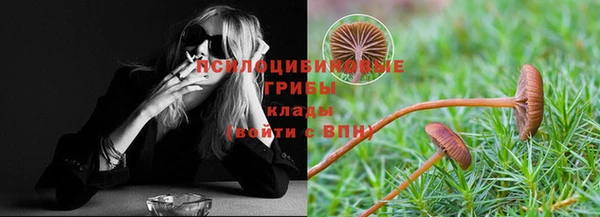 МДМА Алексеевка