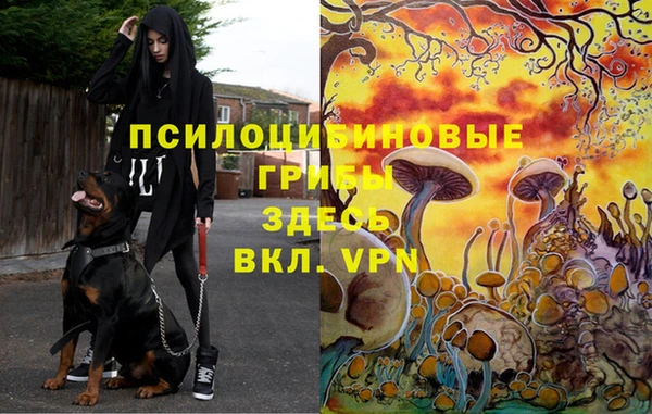 героин Алексин