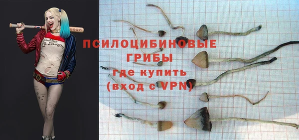 героин Алексин