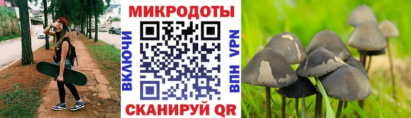 Псилоцибиновые грибы мухоморы  Темников 